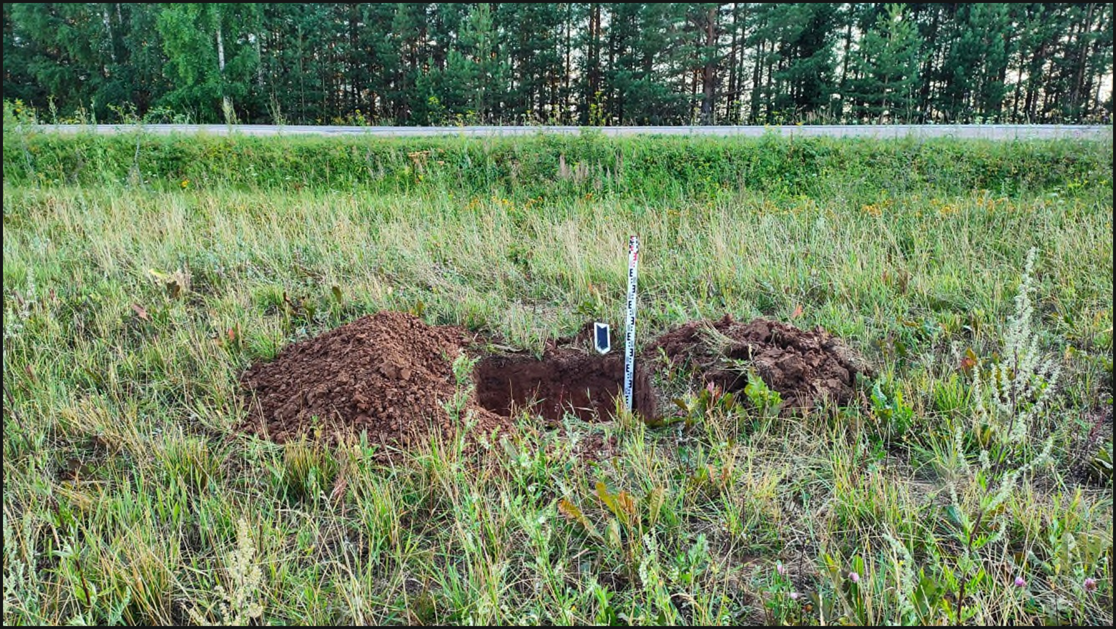 Кировская область. Реконструкция автомобильной дороги